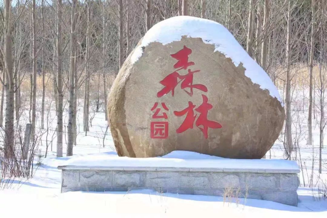 美丽的山城碾子山夜景,美丽的山城碾子山