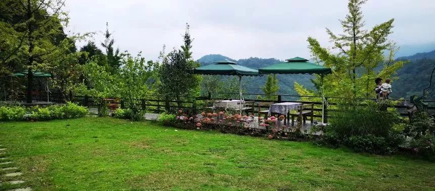 成都可以带娃钓鱼烧烤的农家乐,推荐好的农家乐成都