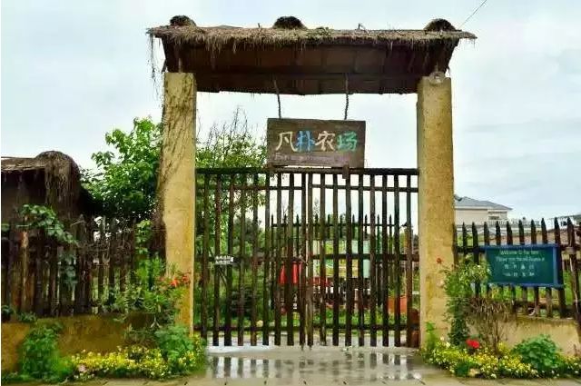 成都可以带娃钓鱼烧烤的农家乐,推荐好的农家乐成都