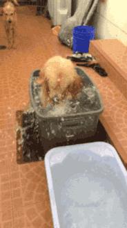 杭州民宿真实评价,杭州民宿真的很好吗