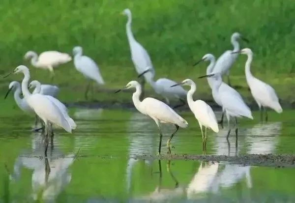 深圳旅游五日游景点推荐,深圳五一游玩线路汇总