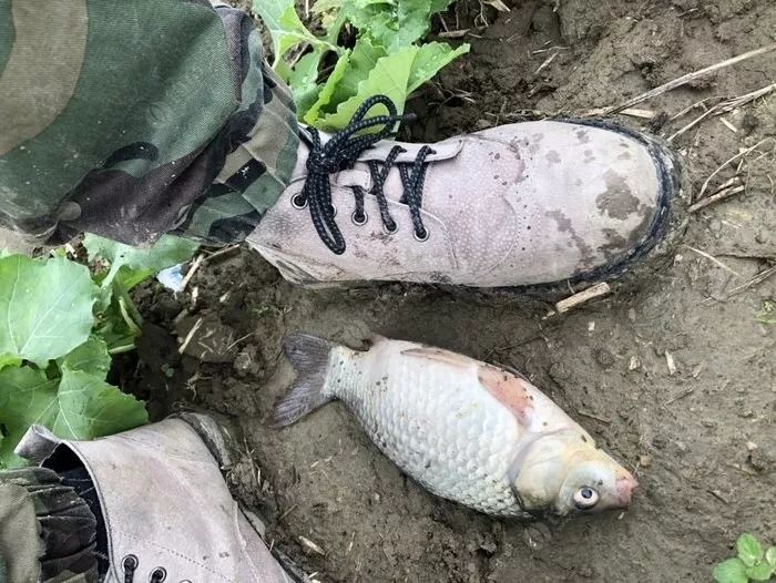 冬季长竿短线怎么选位,野钓长竿短线技巧和方法