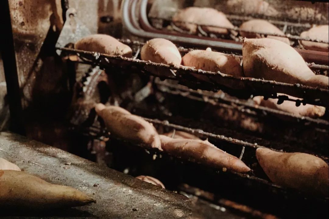 人间不值得但是人间很美好,人间不值得但是你值得是谁说的