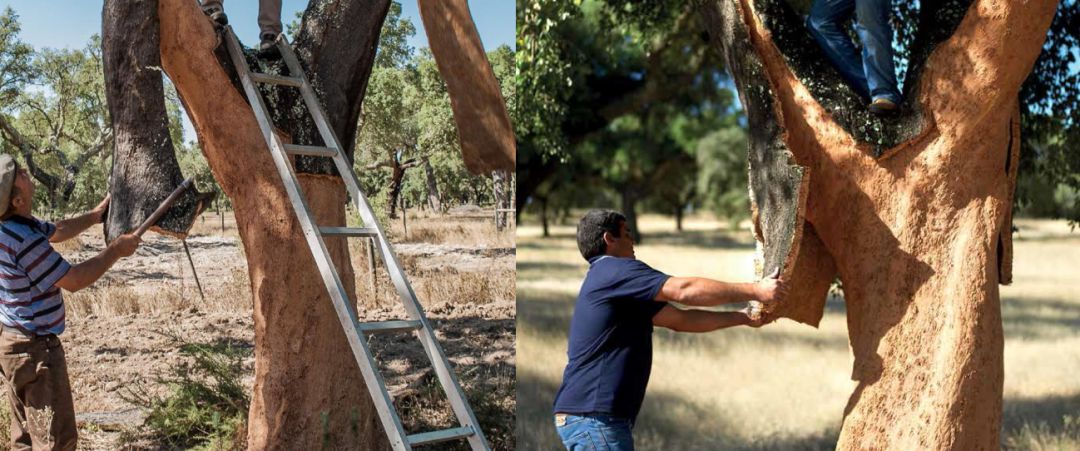 罗马人发明了左右脚的鞋,欧洲人古代用什么做鞋底