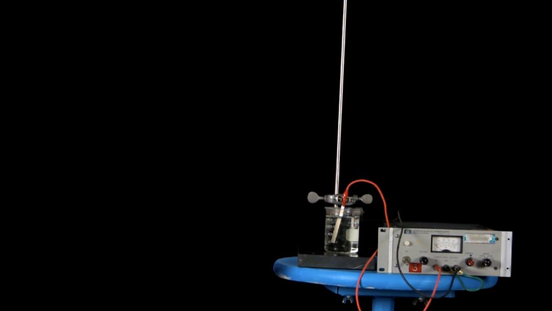 为什么苹果不会烂,苹果一直摘壳会不会掉漆