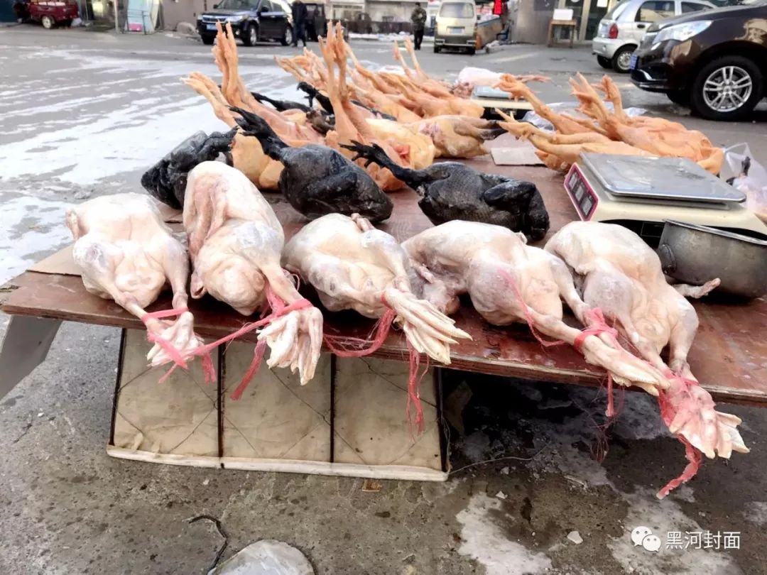 黑河低温冷库,东北最冷黑河早市冻货