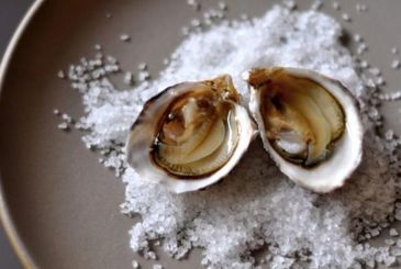 蚝情万丈烧烤,蚝情万丈连锁店