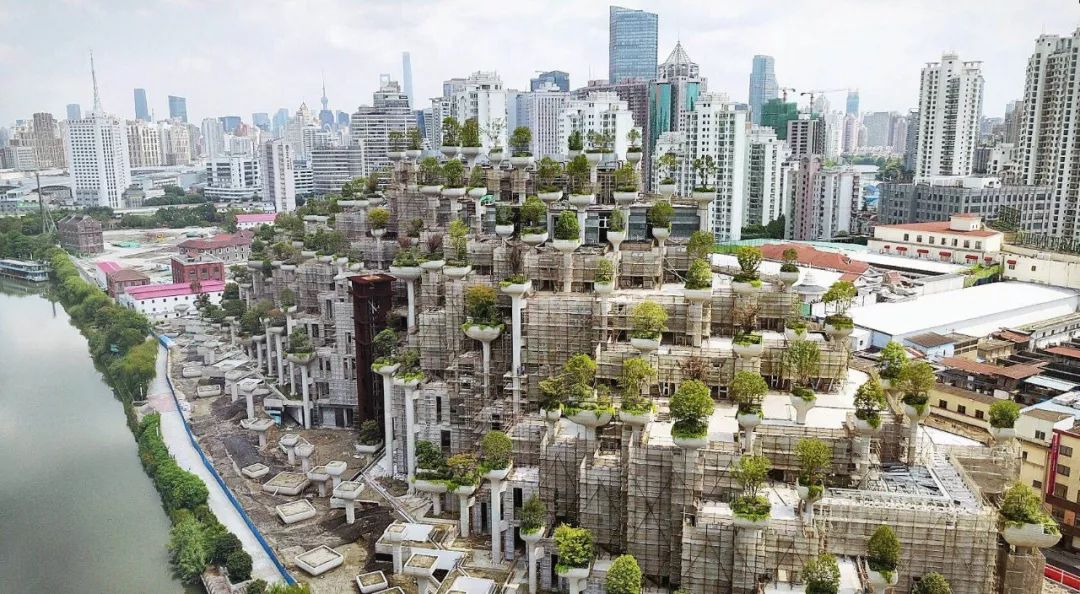 2025上海会发生什么,上海未来要发生的重要事件