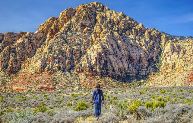 在拉斯维加斯玩点不一样的