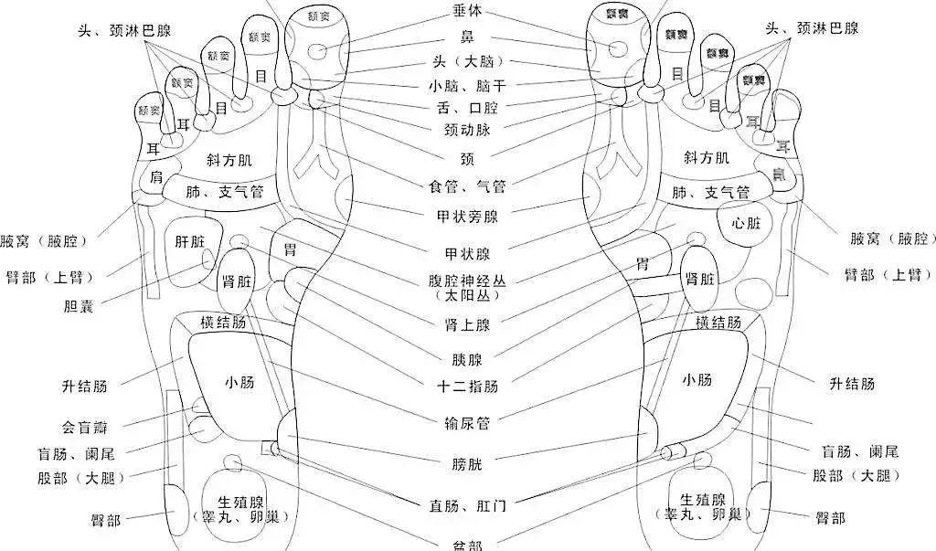 足底暖宝宝暖身贴,冬天必备神器暖宝宝贴