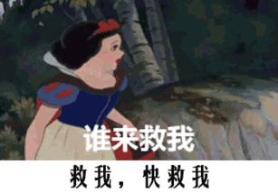 招公务员45周岁以下,公务员招3人有4人报名