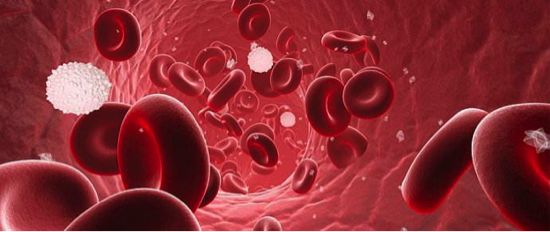 知安全避危险小知识,高危无症状多久可以排除艾滋