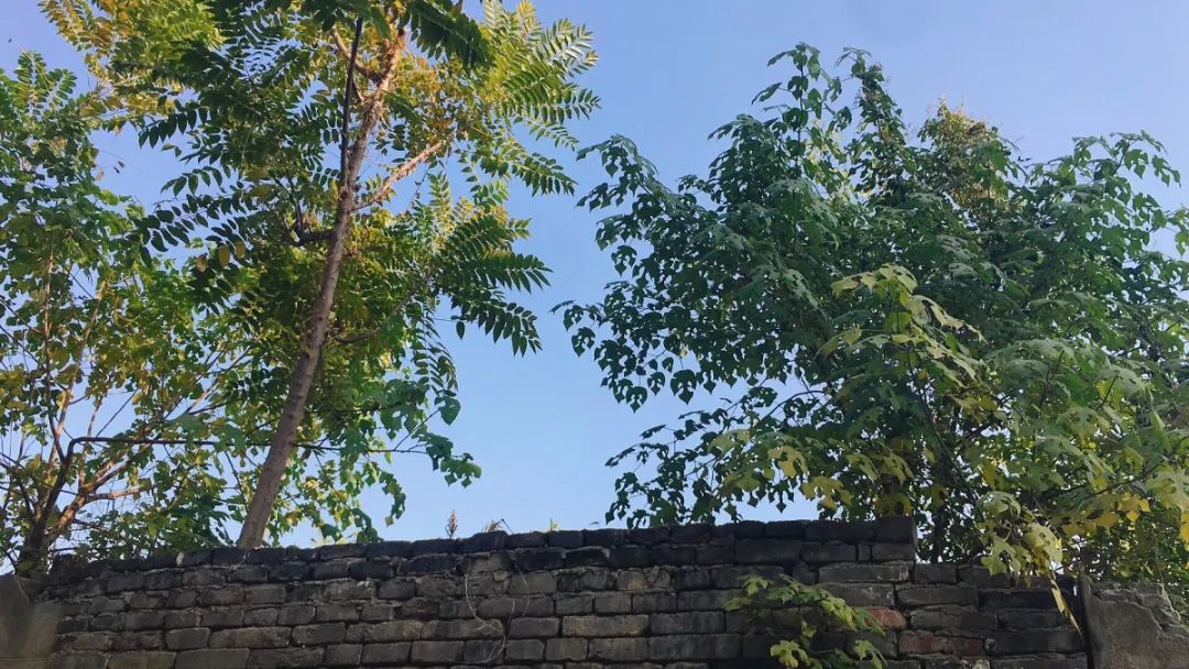 城隍庙老照片,临泉城隍庙的历史