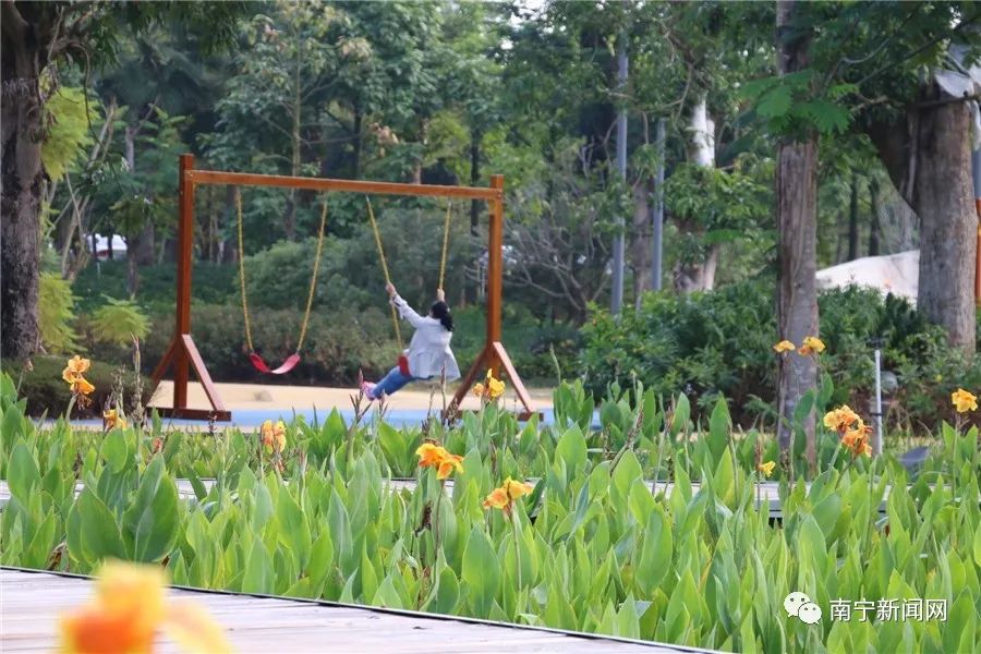 美极了的风景,百里秀美邕江将添好去处