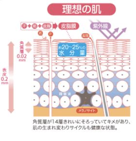 化妆水怎么使用是正确的,化妆水到底该怎么使用