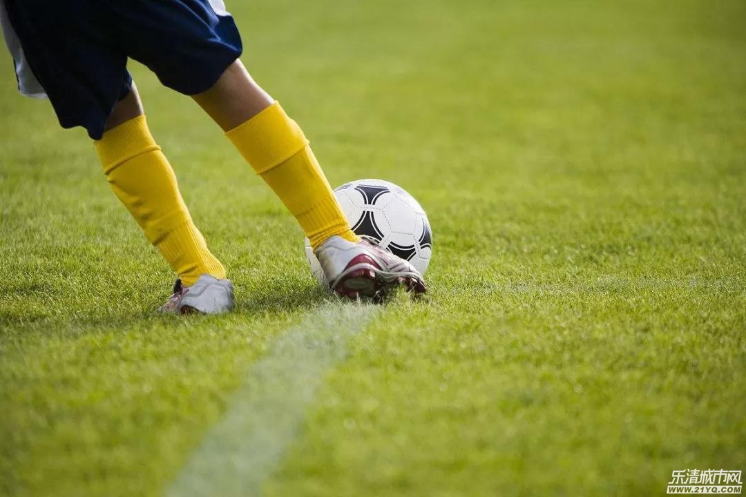 乐清足球学校,乐清市中小学足球队名单