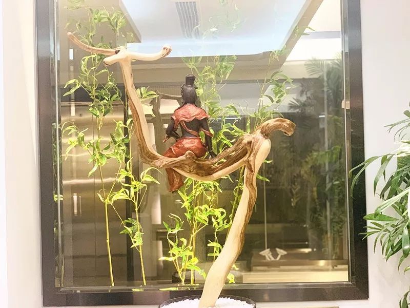 走进亮美嘉，感受光魅力——亮美嘉临沂媒体采风行成功举行