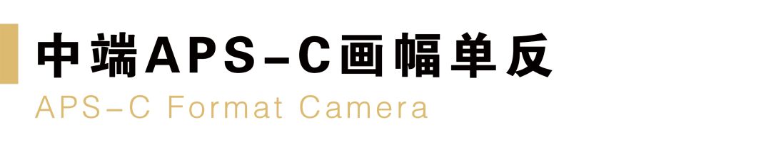 尼康值得入门的单反相机推荐,尼康最新款单反相机d780和d850