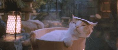 杨紫和男明星对视综艺,杨紫和男星亲密互动