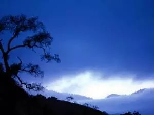 当弗洛伊德遇上佛陀典藏版,当弗洛伊德遇见佛陀电子书