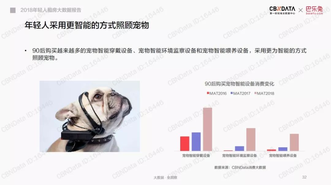 95后撸猫的经济效应