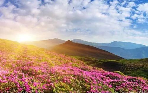 巴中风景区排行榜前十名,巴中网红打卡