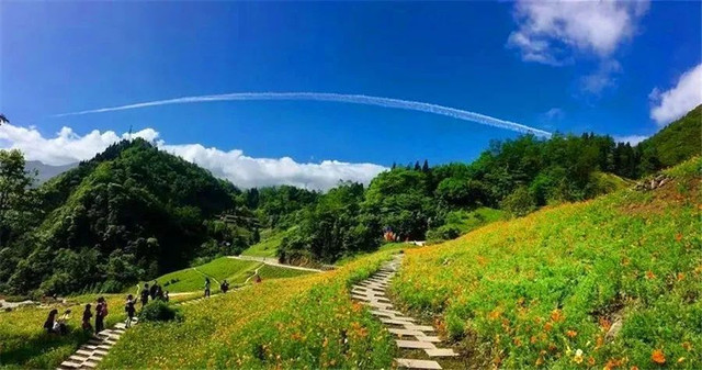 成都周边野花,成都周边花谷景区推荐