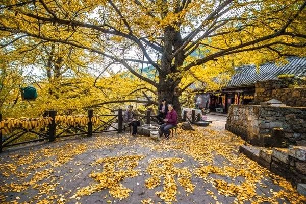 厉害，阿根廷最大门户网站这样点赞贵州！