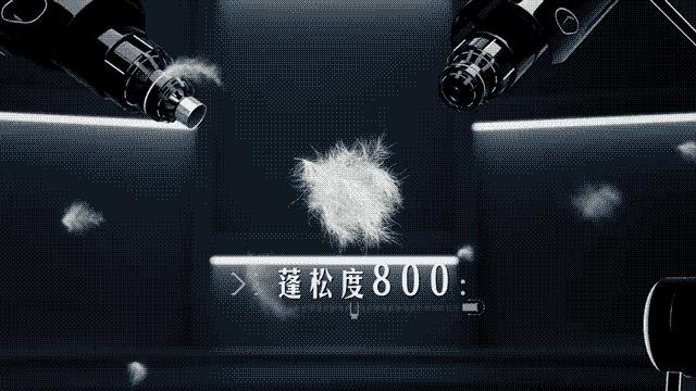 小雀斑撞波司登,波司登小雀斑