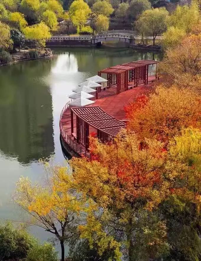 独家专访金华一中校长寿才明：丽泽书院到底要什么样的牛娃？