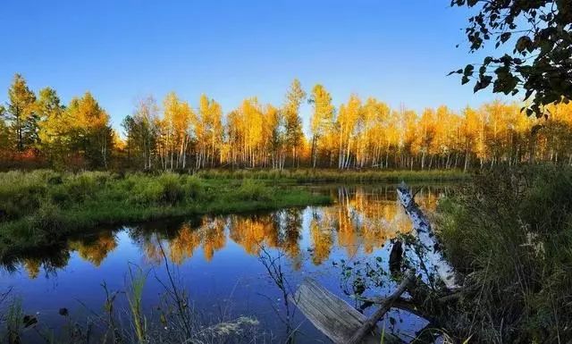 内蒙古车牌号字母按什么排的,内蒙古自治区车牌号