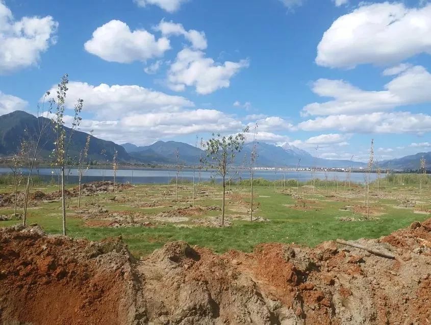 2018只剩一个月,丽江2018