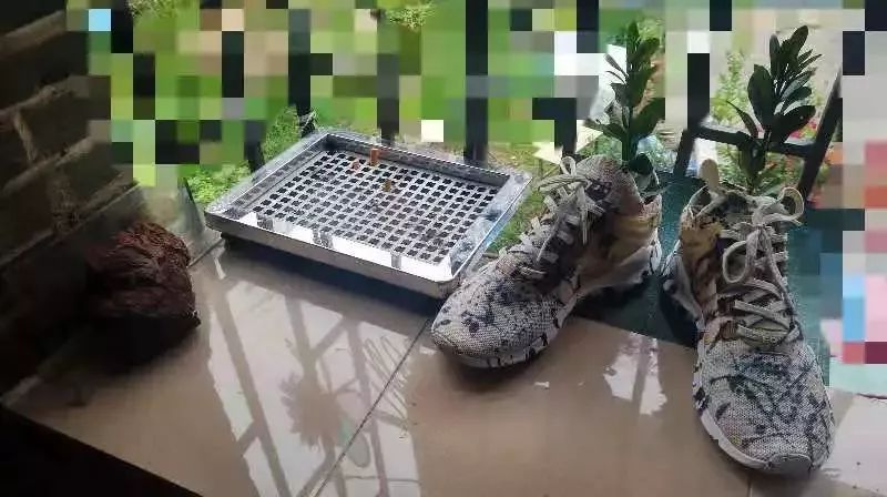 “我和师姐开房，一切止于假鞋的脚臭”｜买到假货的经历