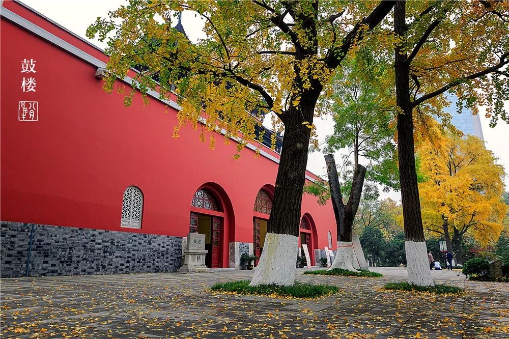 鼓楼70岁的老人免费吗,鼓楼60岁以上老人免票吗