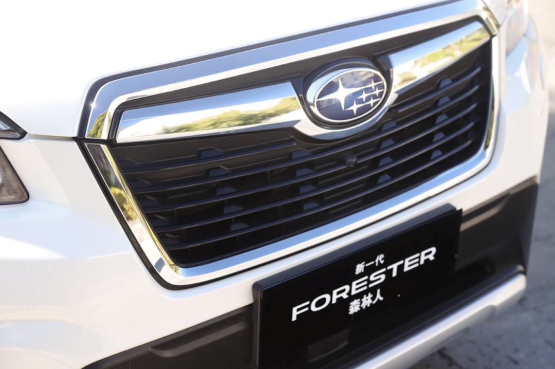 试驾斯巴鲁森林人2.0,试驾斯巴鲁新森林人