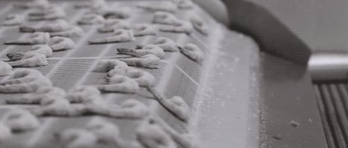 去虾头、开虾背、撕虾壳，剥虾仁的流水线长这样