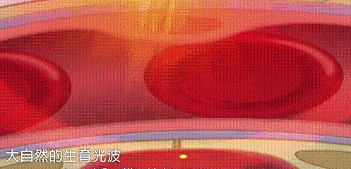 艾草抗菌裤,艾草养生抗菌导湿裤