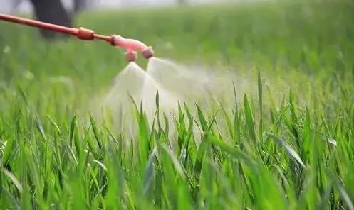 植保技术革命！有机硅、精油、有机氟等，谁将主宰500亿农业助剂市场？