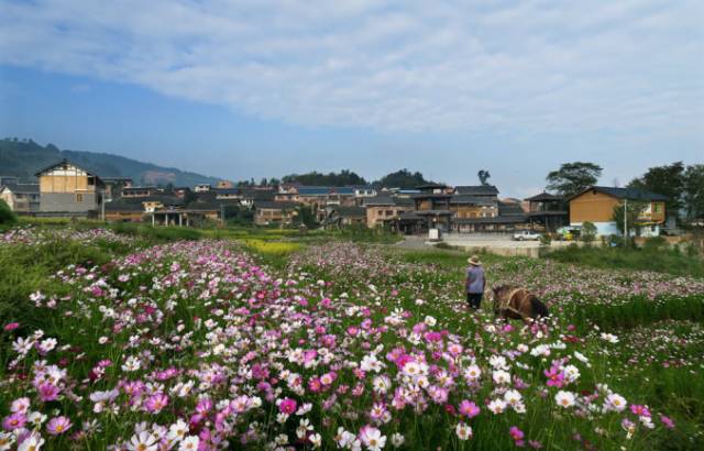 黔南3天旅游攻略,黔南荔波旅游攻略