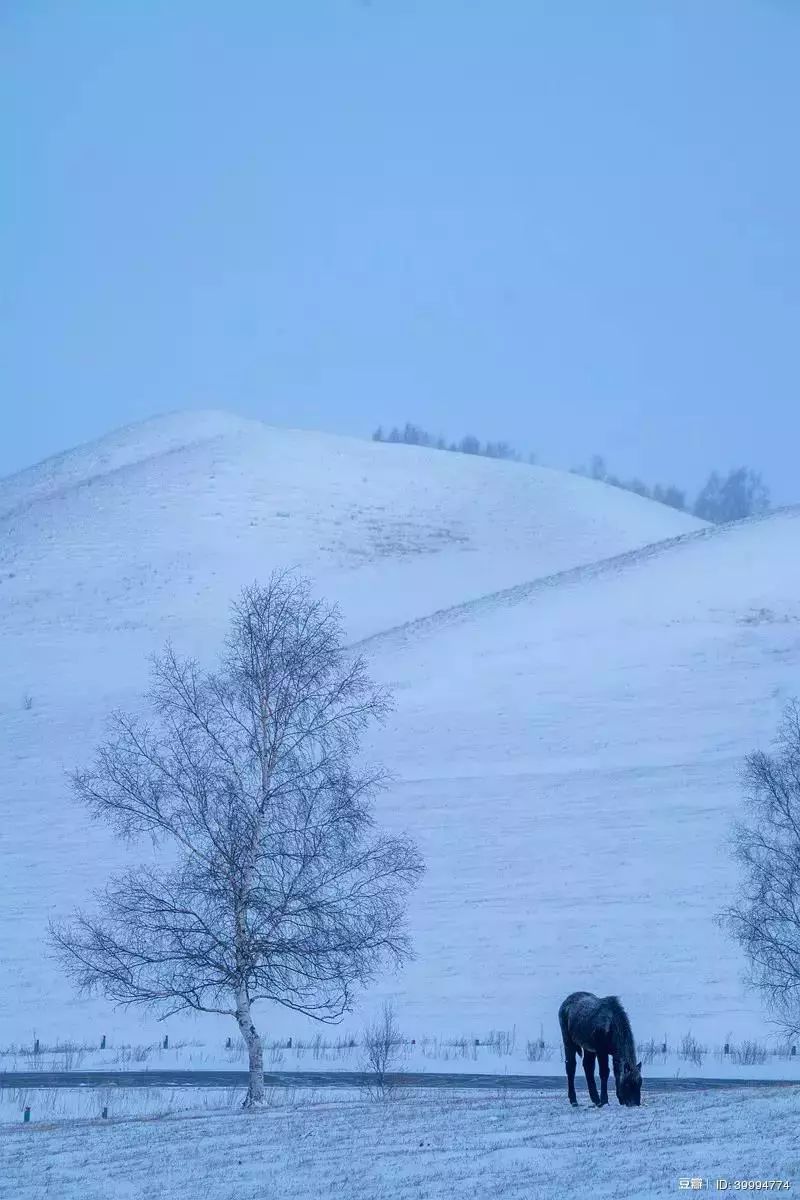 廿四节气丨和大家聊聊“大雪的几件事”