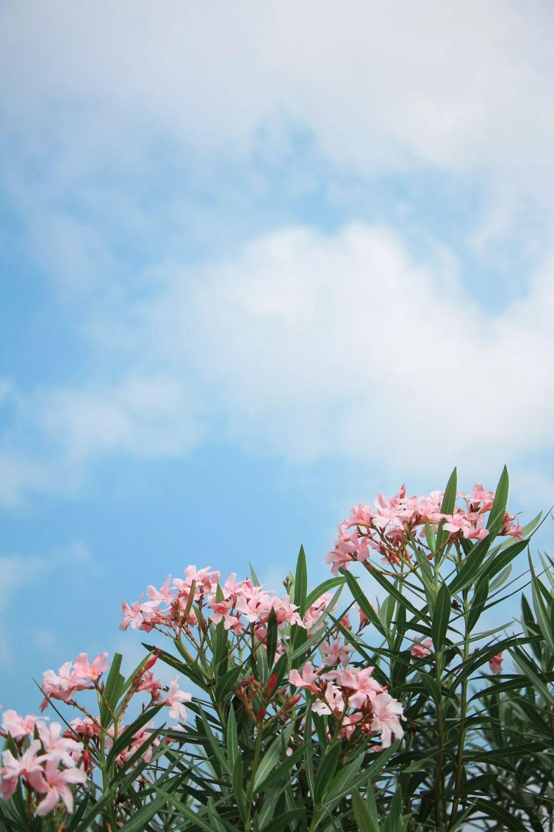 盘点那些美丽的校园时光,盘点那些美丽的校园