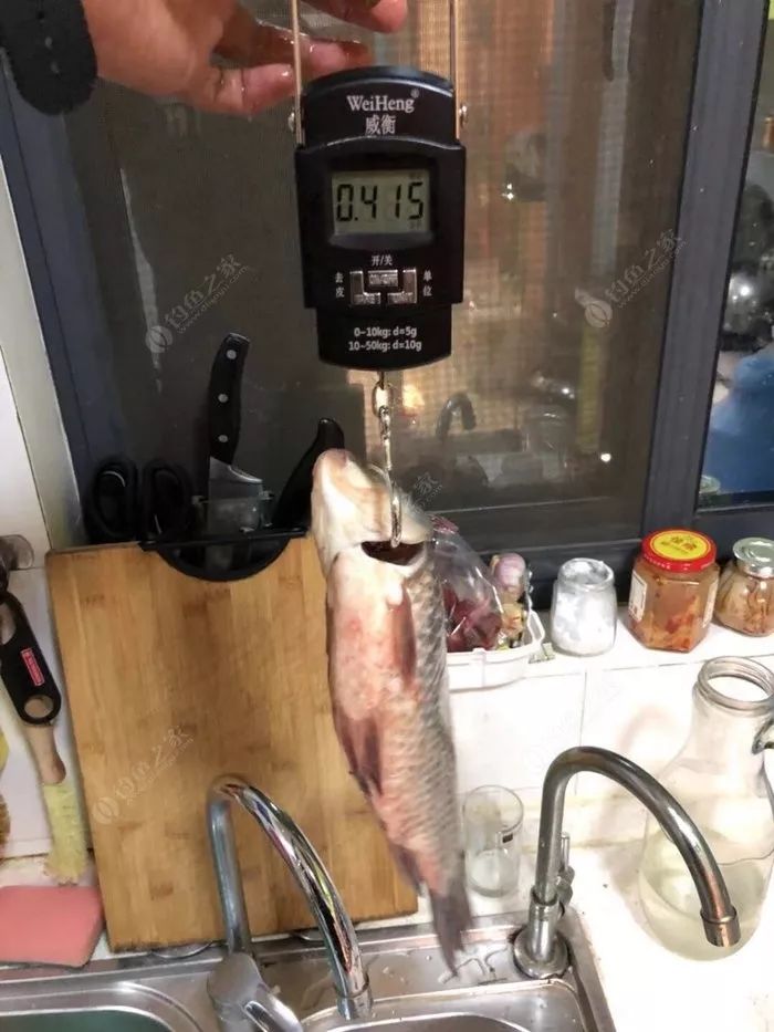 最简单的调漂方法黑坑,调漂最快最简单实用新手入门黑坑