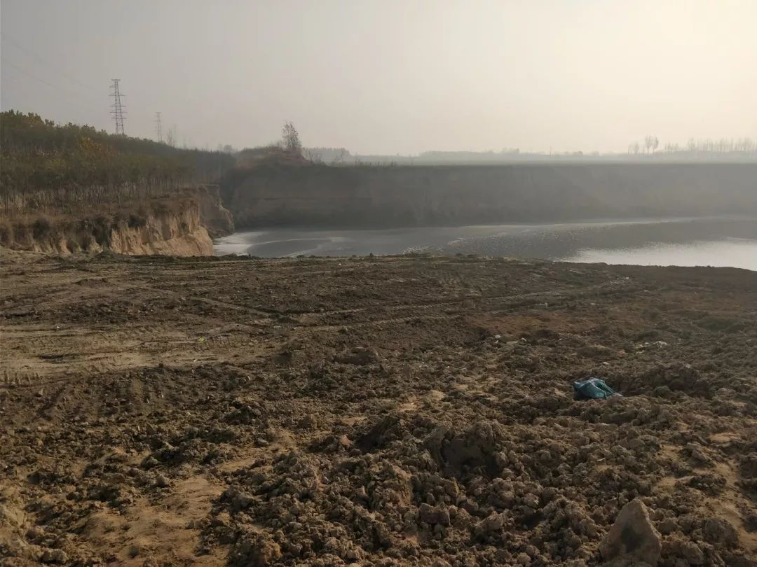 山东PITI再发布——绿行齐鲁12月月报