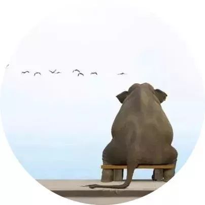 夜读情商高的句子,夜读真正聪明的人从不纠缠