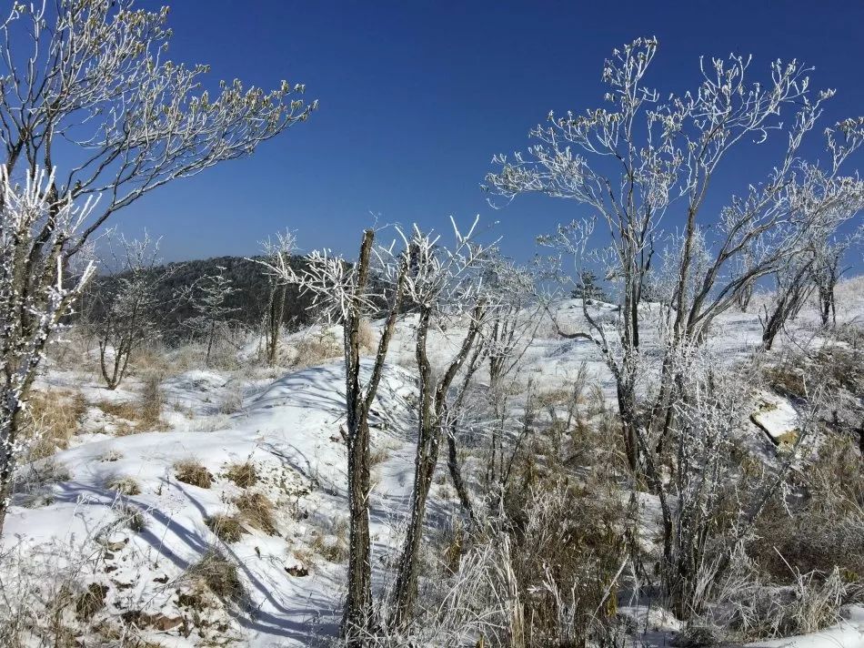 神农架国际滑雪场今日雪况,神农架滑雪场周末攻略