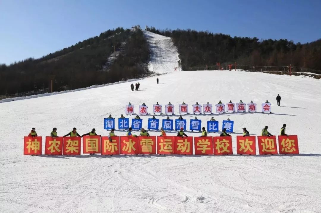 神农架国际滑雪场今日雪况,神农架滑雪场周末攻略