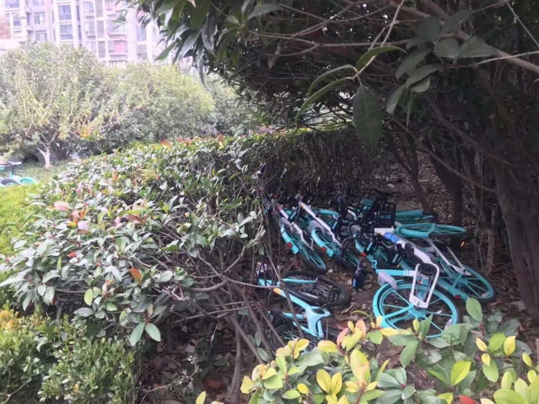 合肥车爆炸着火,合肥面包车爆炸