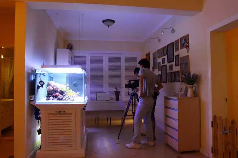 60海缸开缸全记录,1.2米的海缸开缸需要多少费用