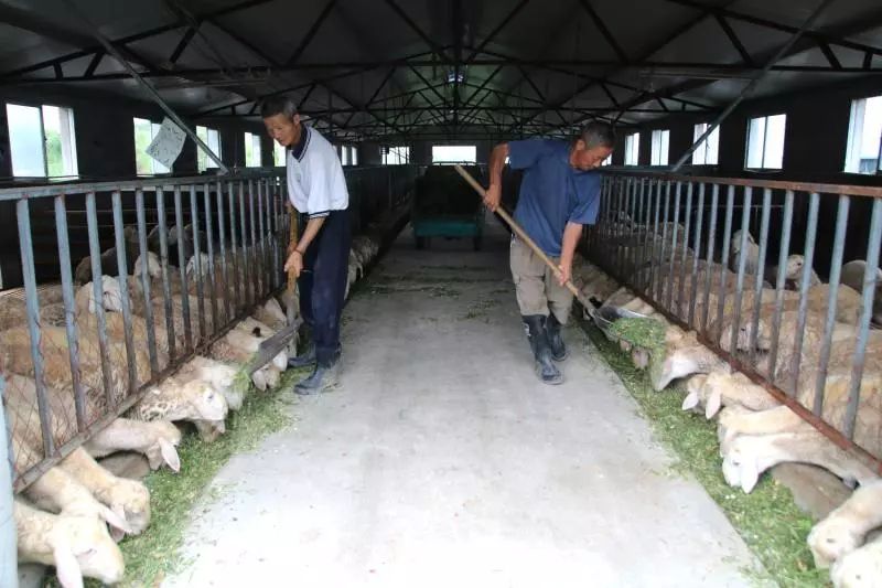 马鞍山的发展变化文字记录,改革开放四十年来马鞍山的变化