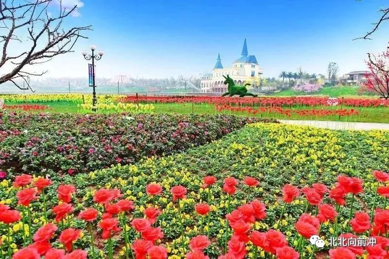 楚才公益网课视频,楚才名师公益讲堂